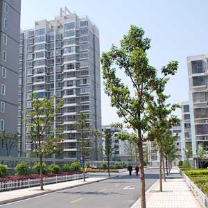 奉浦九華新園 奉浦九華新園